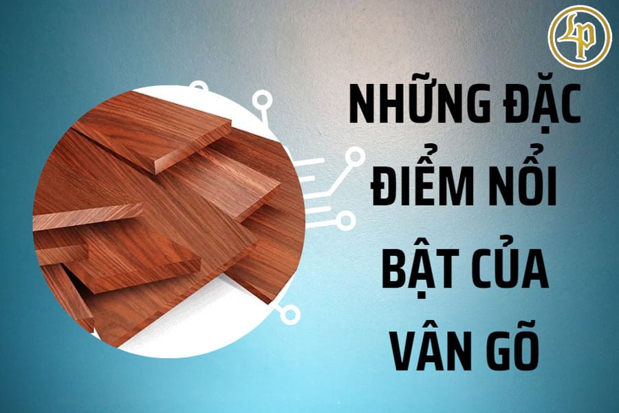 dac-diem-noi-bat-cua-van-go