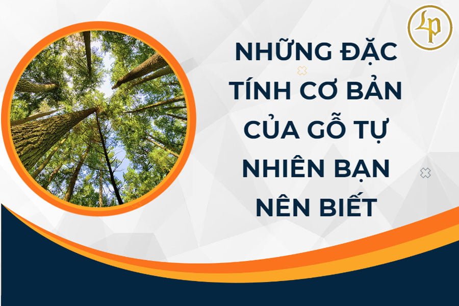 dac-tinh-co-ban-cua-go-tu-nhien