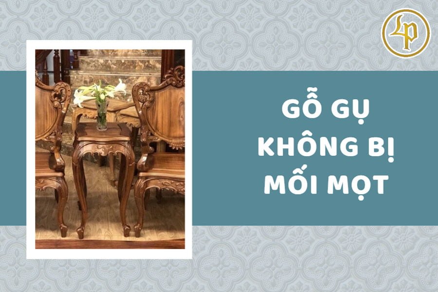 go-gu-khong-bi-moi-mot