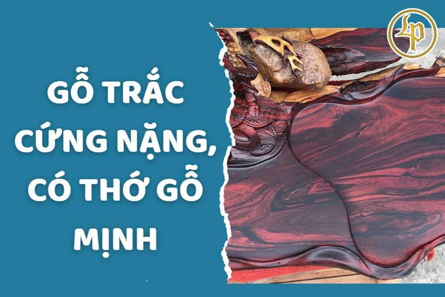 go-trac-co-tho-go-min