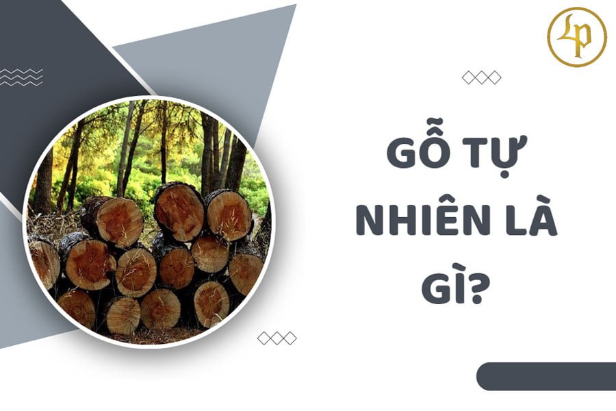 go-tu-nhien-la-gi-co-dac-diem-gi