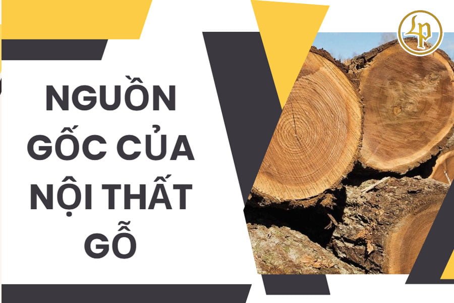 nguoc-goc-cua-noi-that-go
