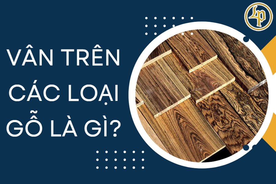 van-tren-cac-loai-go-la-gi