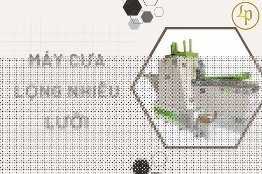may-cua-long-nhieu-luoi